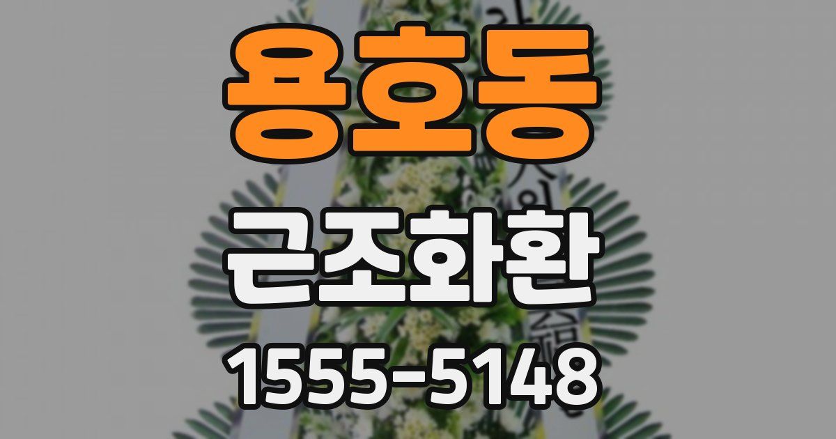 용호동 근조화환