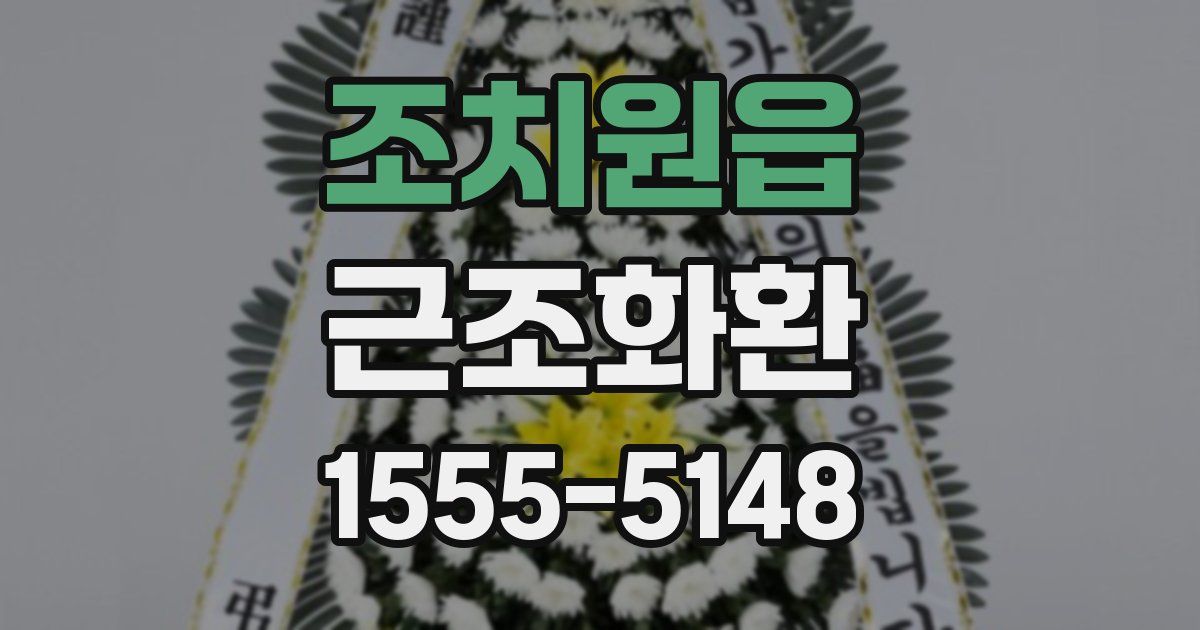 조치원읍 근조화환