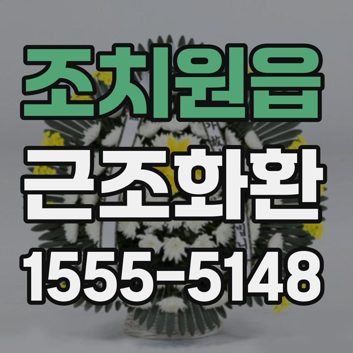 조치원읍 근조화환