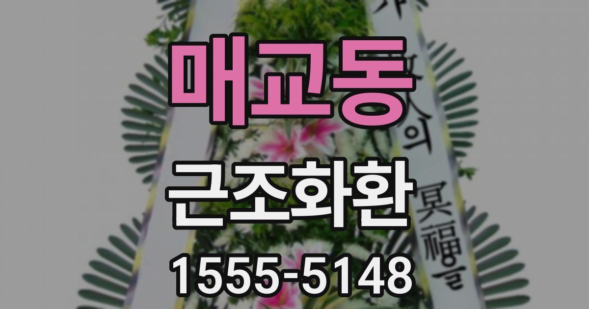 매교동 근조화환