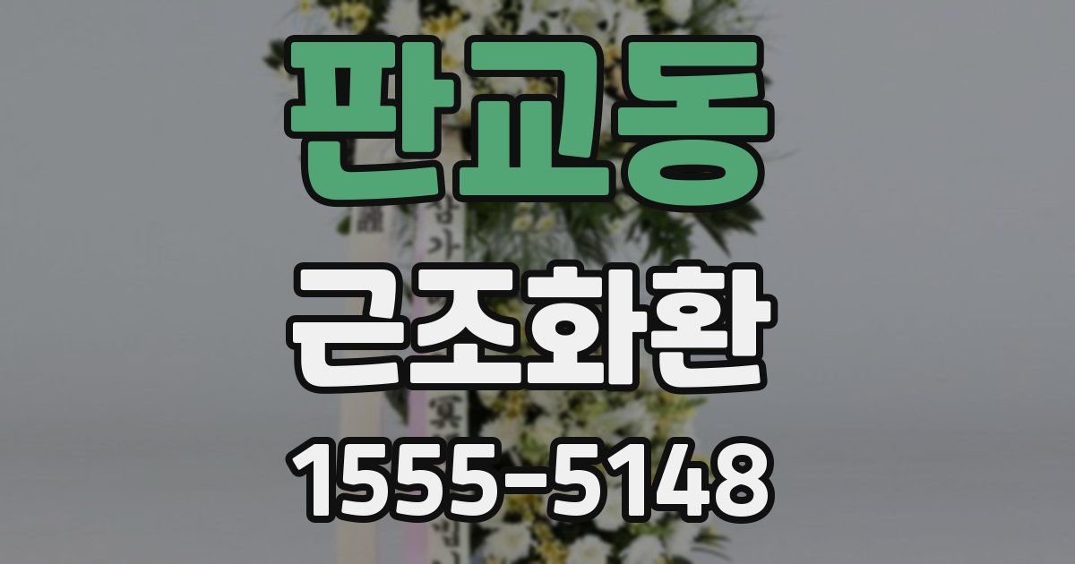판교동 근조화환
