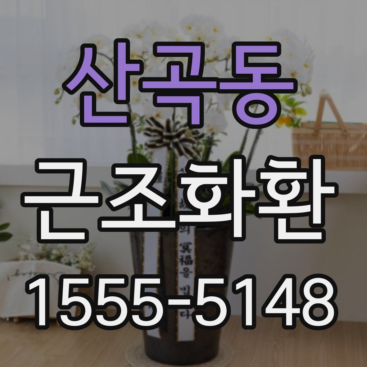 산곡동 근조화환
