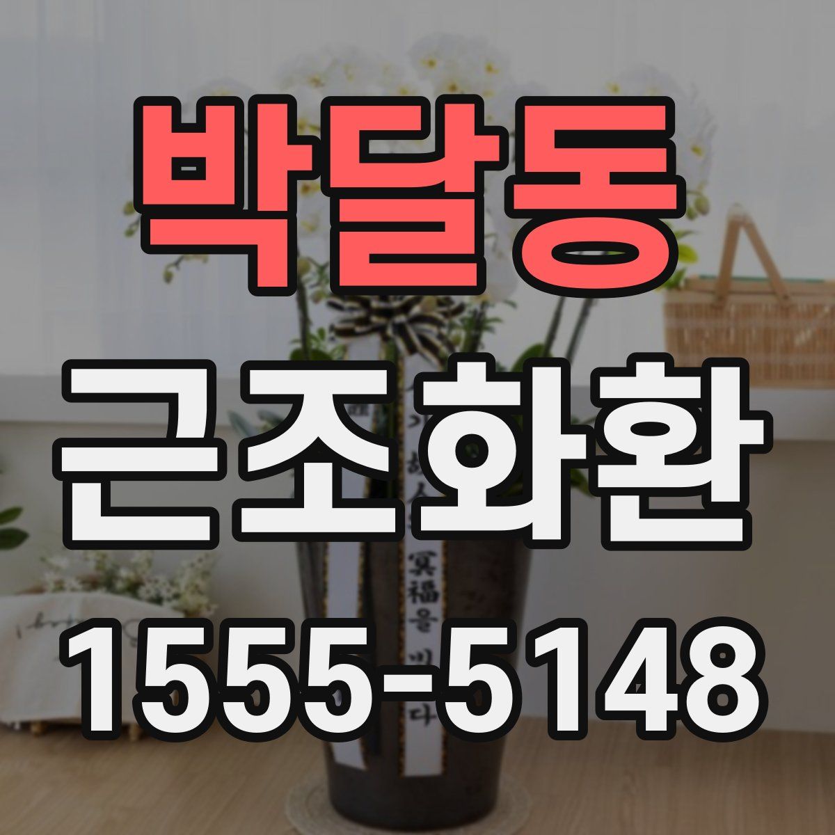 박달동 근조화환