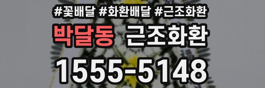 박달동 근조화환