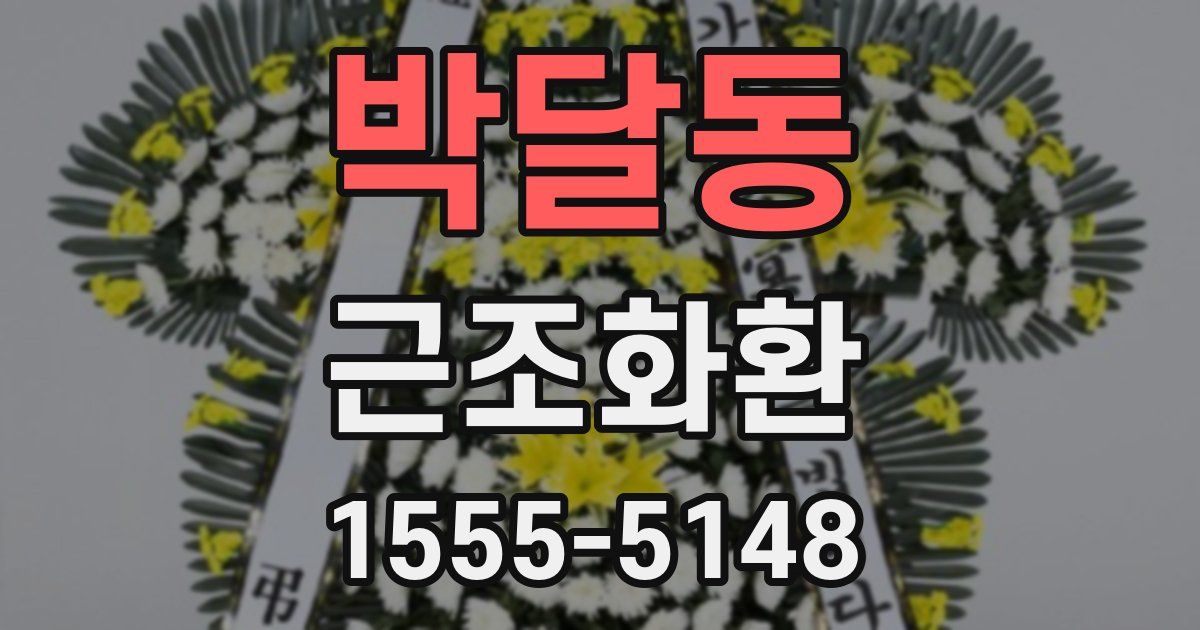 박달동 근조화환