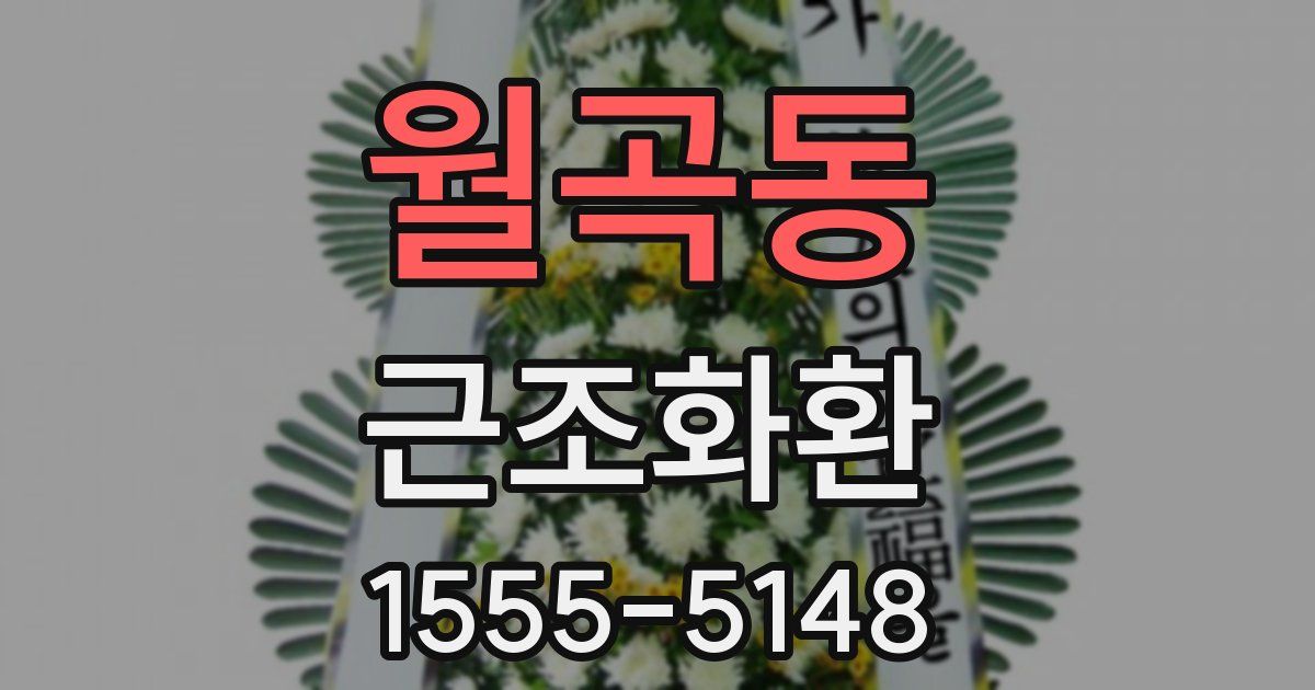 월곡동 근조화환