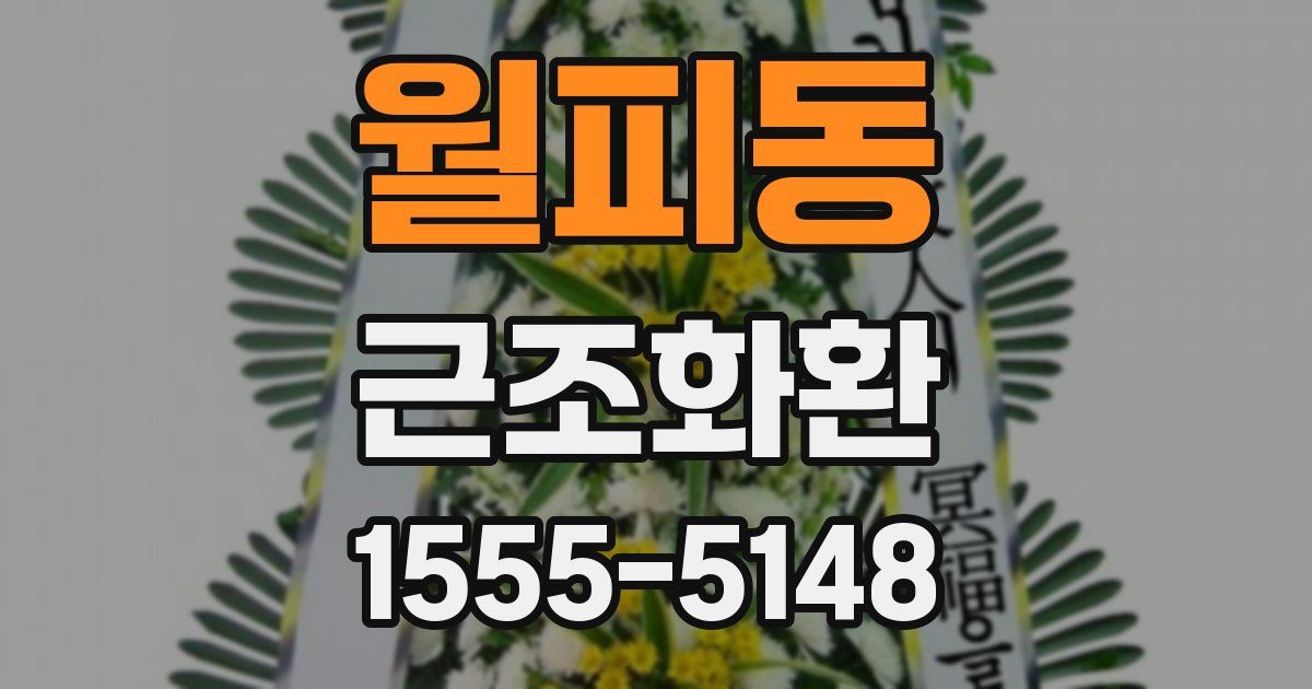 월피동 근조화환