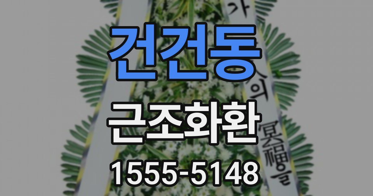 건건동 근조화환