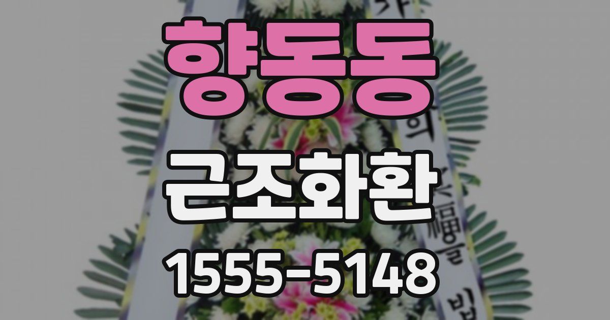 향동동 근조화환