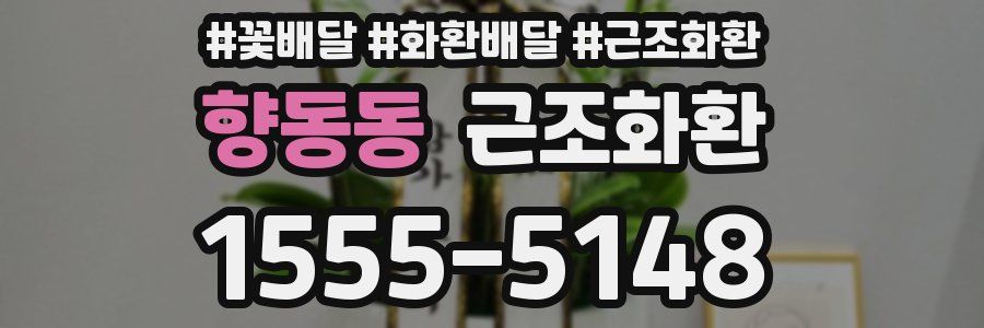 향동동 근조화환