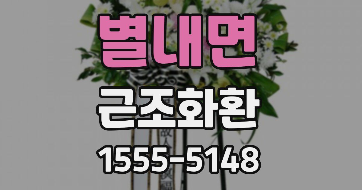 별내면 근조화환