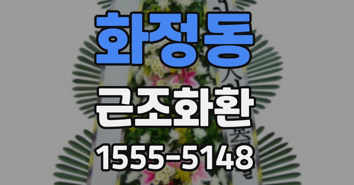 화정동 근조화환