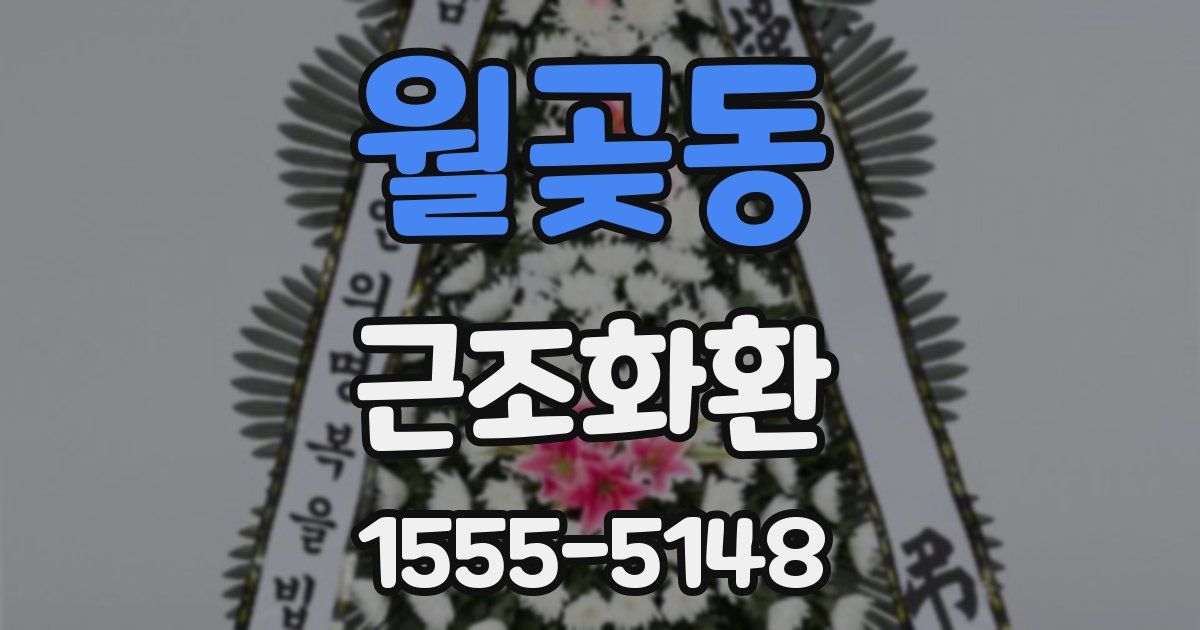 월곶동 근조화환