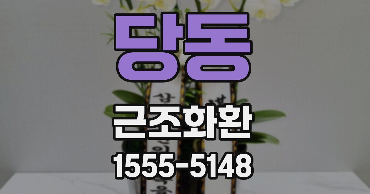 당동 근조화환