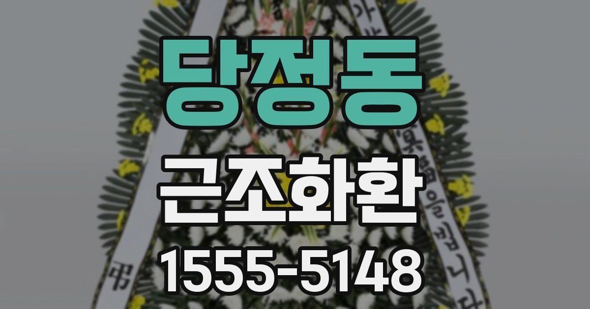 당정동 근조화환