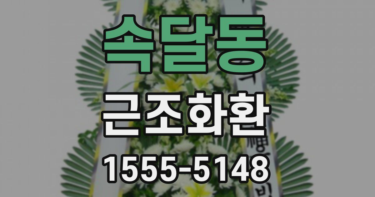속달동 근조화환