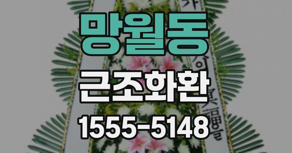 망월동 근조화환