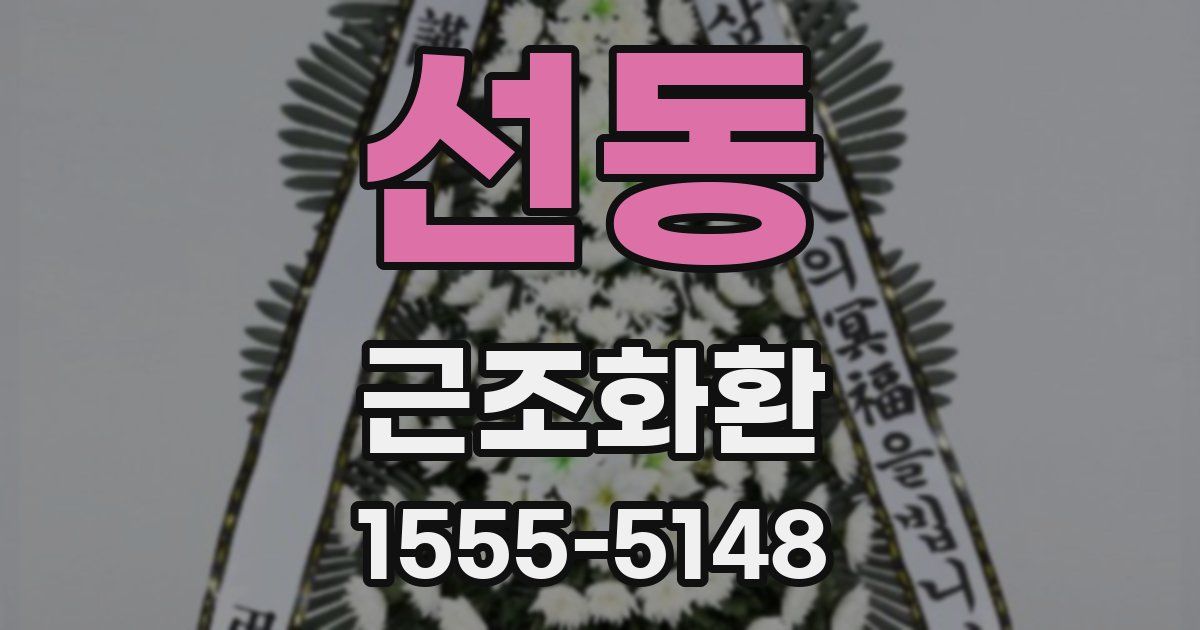 선동 근조화환