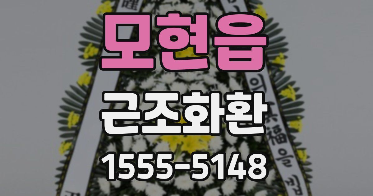모현읍 근조화환