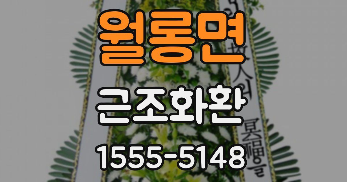 월롱면 근조화환