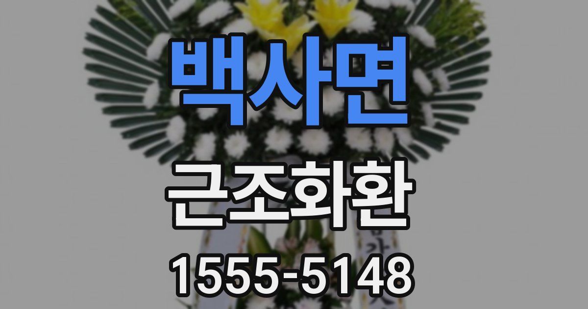 백사면 근조화환
