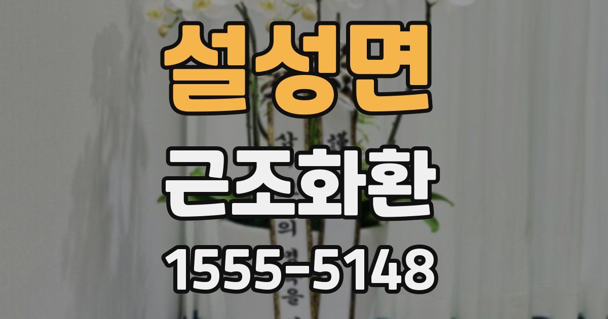 설성면 근조화환