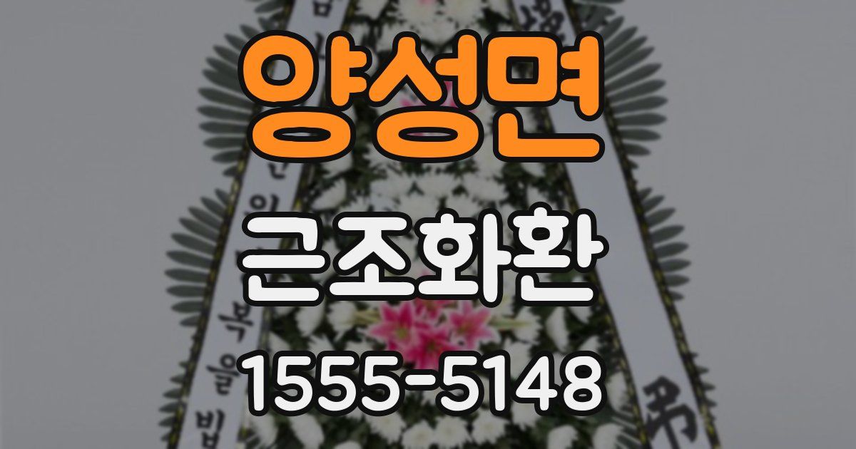 양성면 근조화환