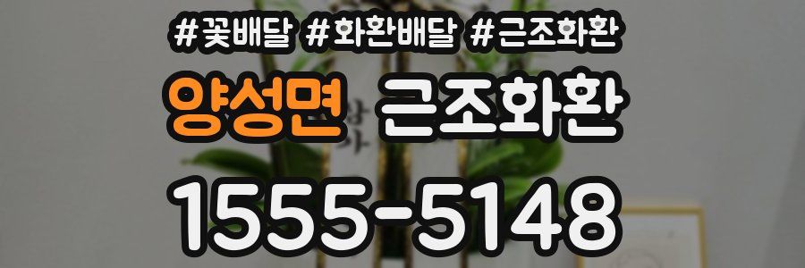양성면 근조화환