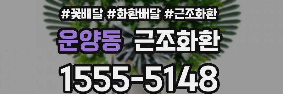 운양동 근조화환