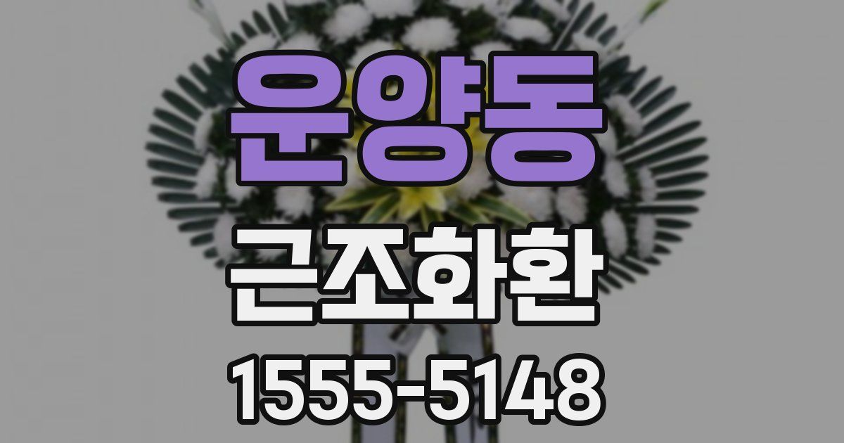 운양동 근조화환