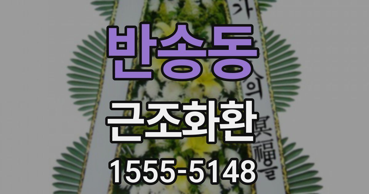 반송동 근조화환