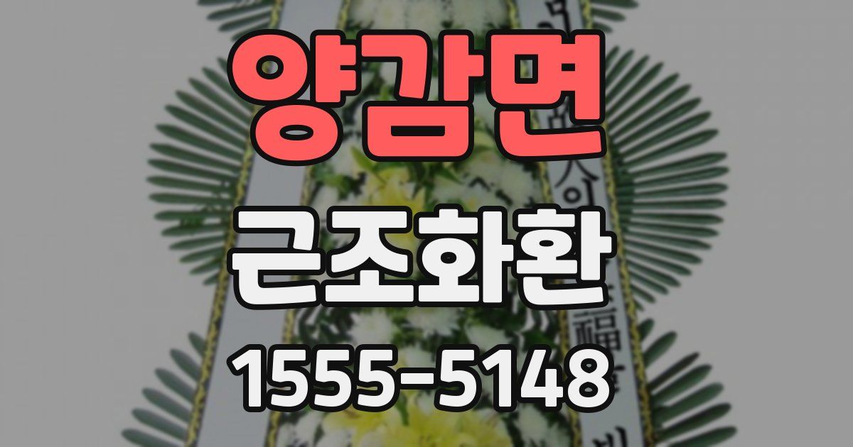 양감면 근조화환