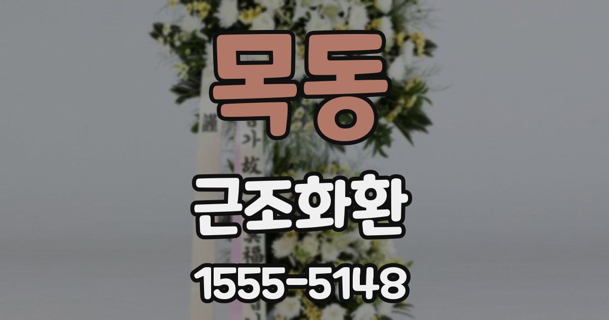 목동 근조화환