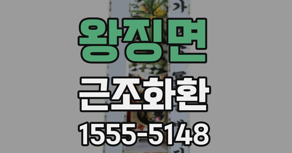 왕징면 근조화환