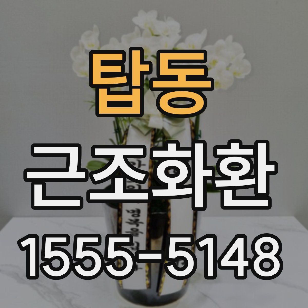 탑동 근조화환