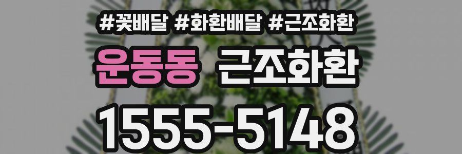 운동동 근조화환