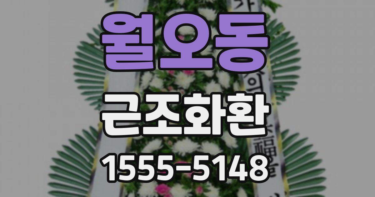 월오동 근조화환
