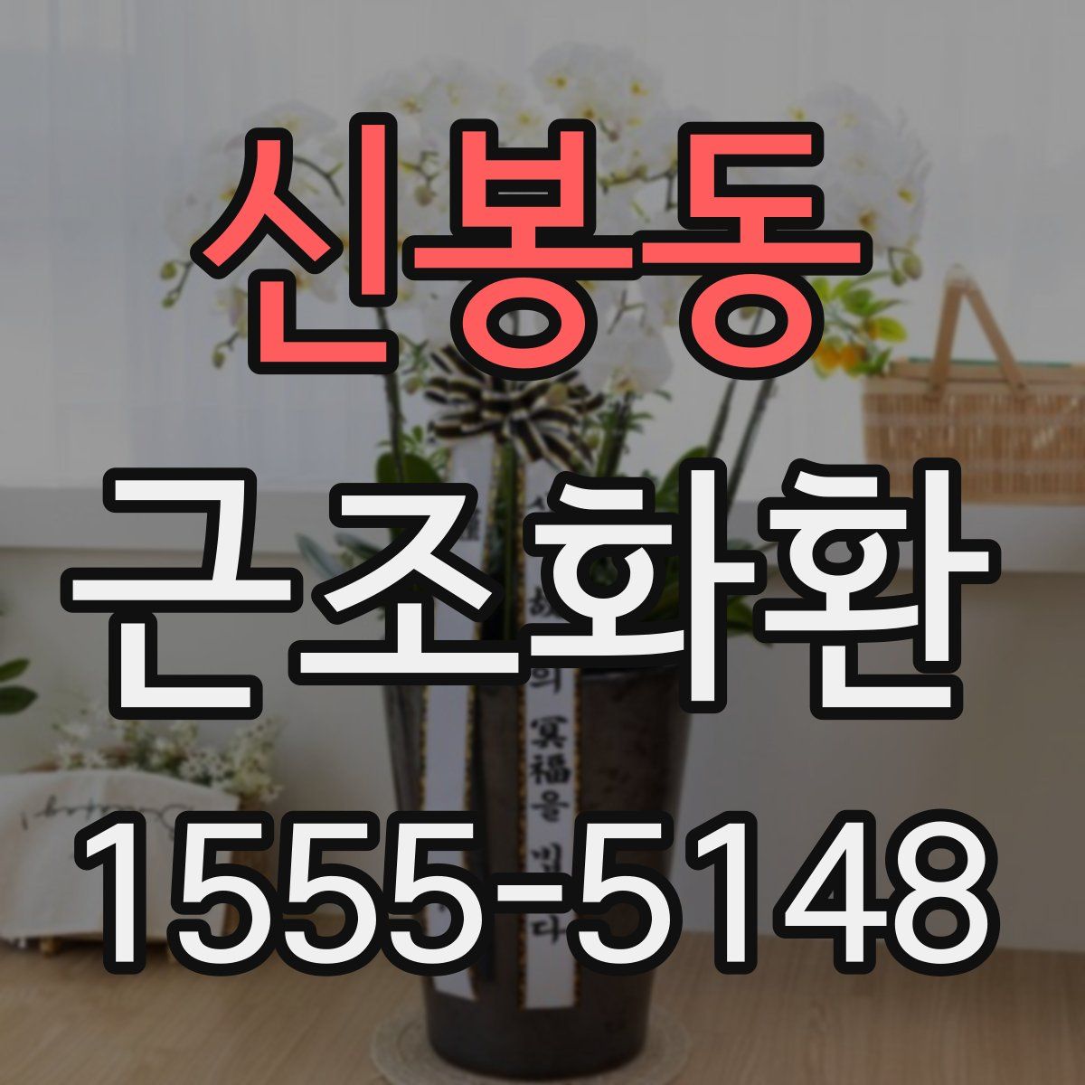 신봉동 근조화환