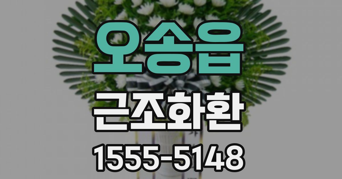 오송읍 근조화환