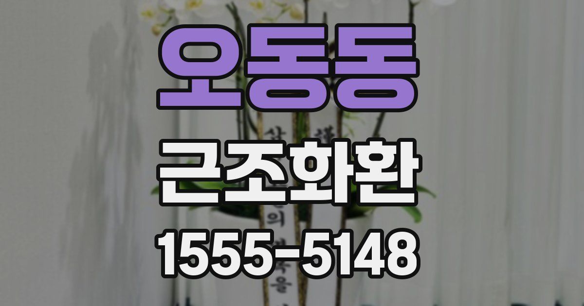 오동동 근조화환