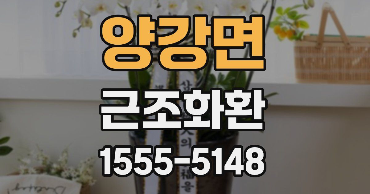 양강면 근조화환
