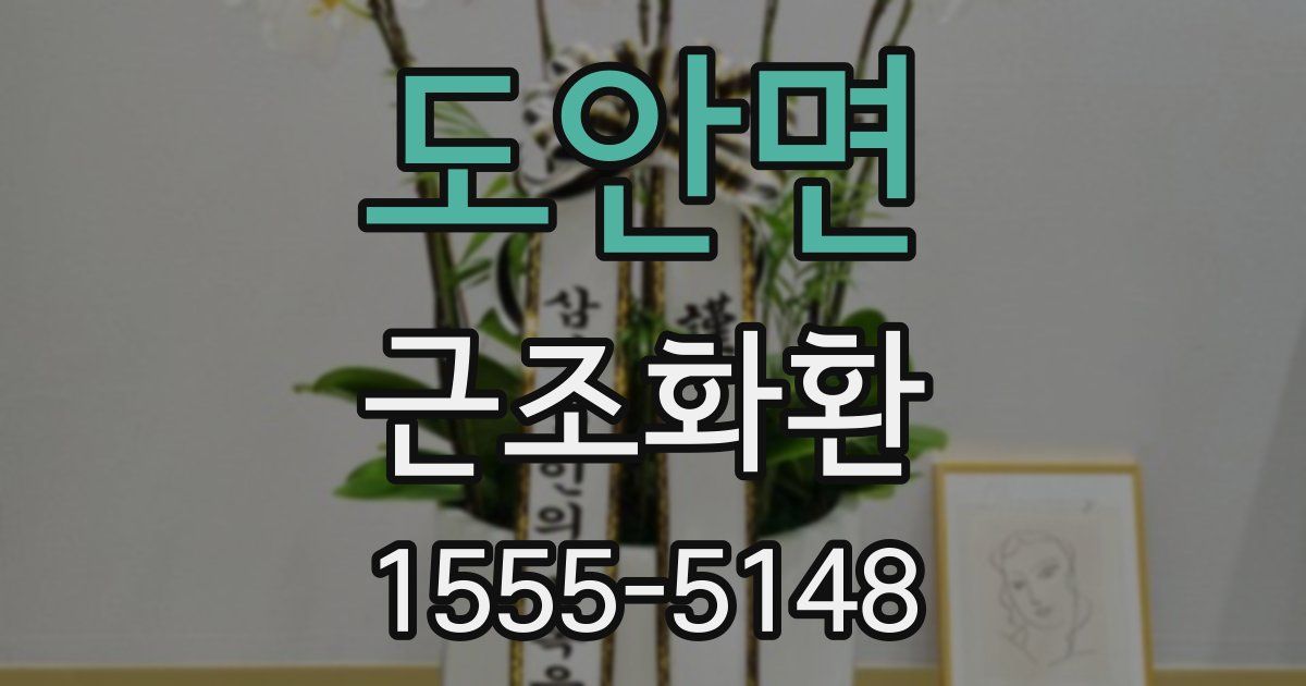 도안면 근조화환