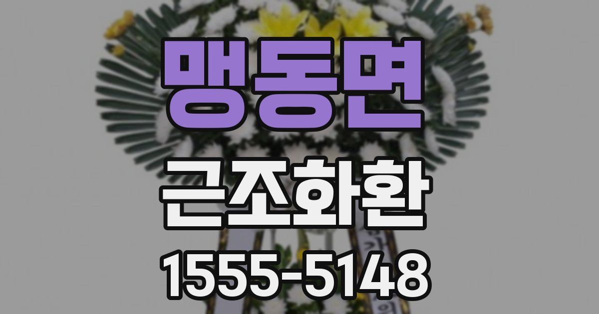 맹동면 근조화환