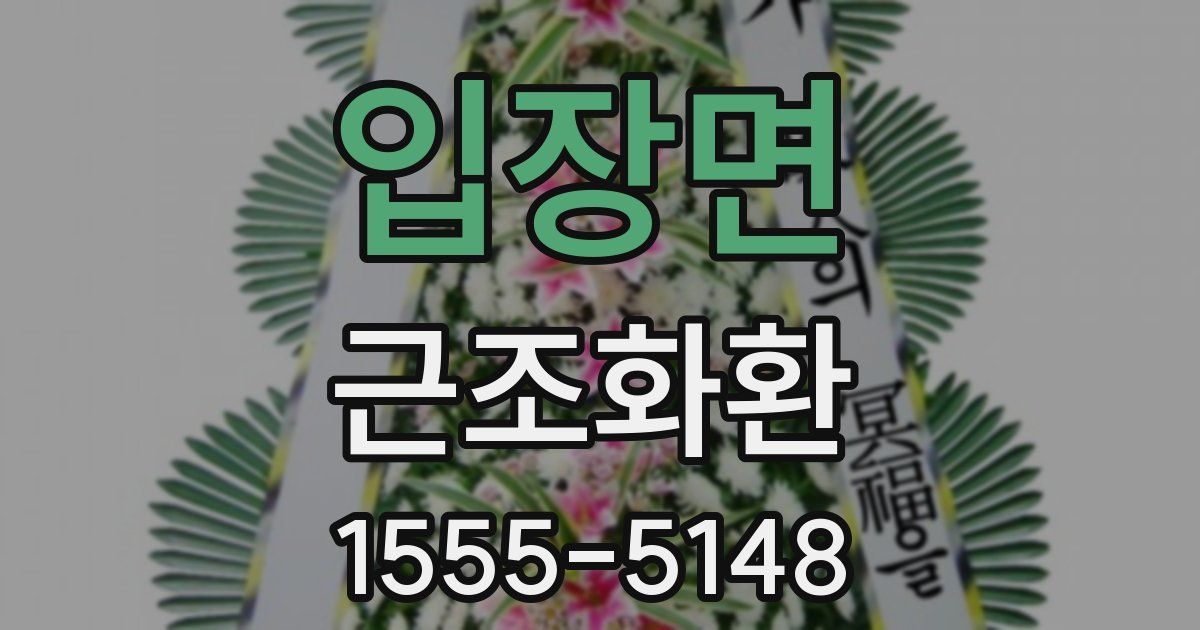 입장면 근조화환