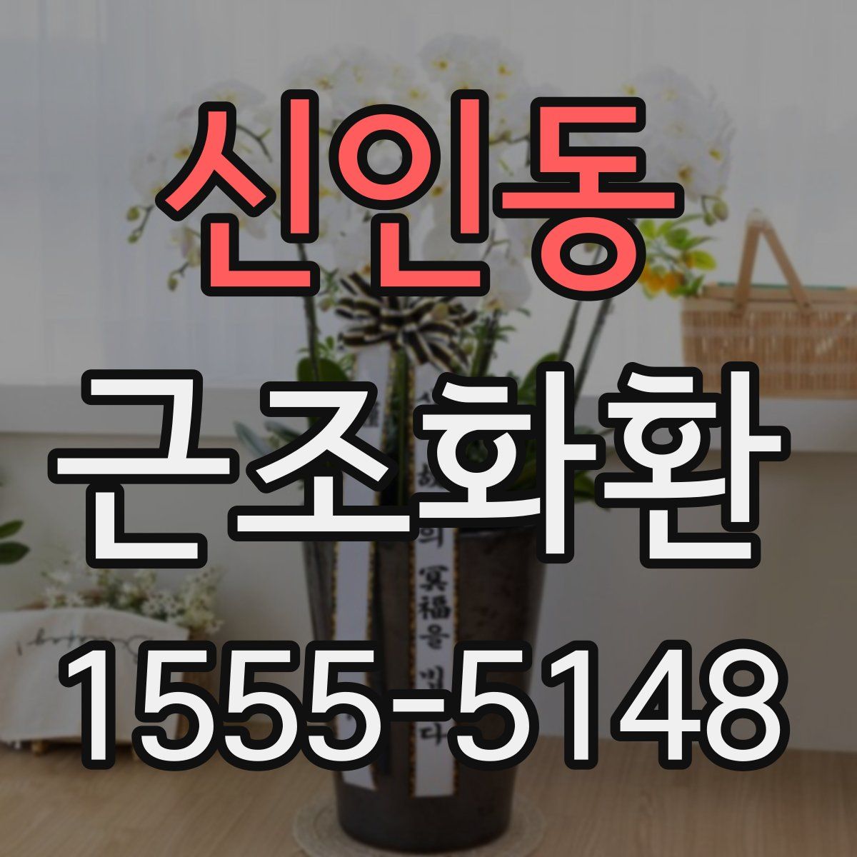 신인동 근조화환