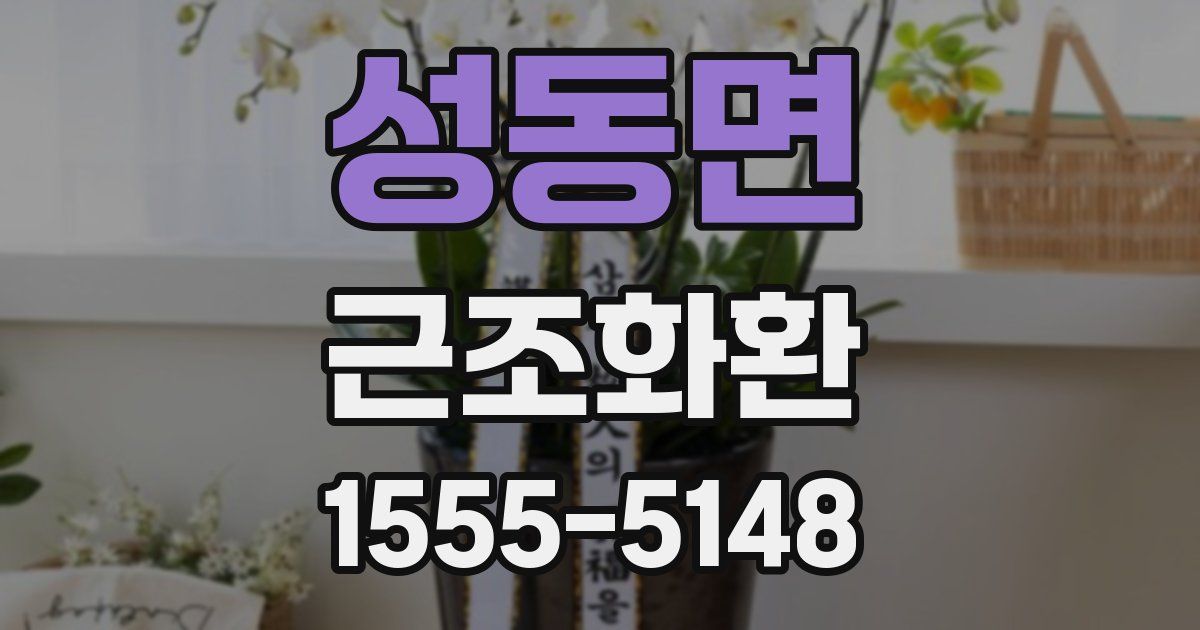 성동면 근조화환