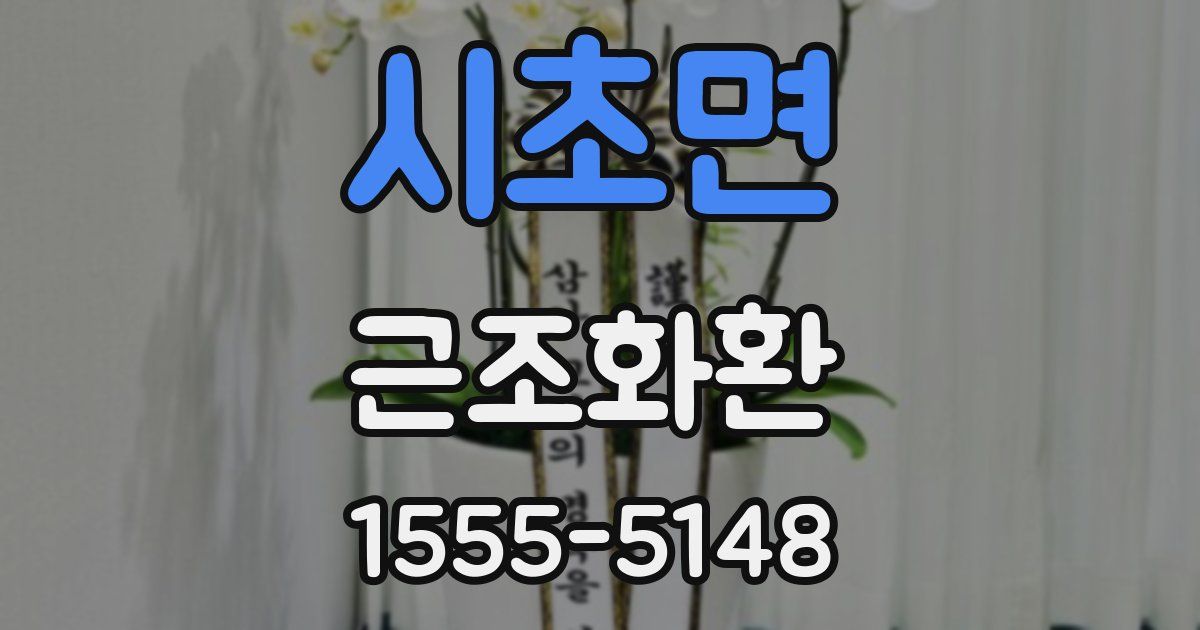 시초면 근조화환