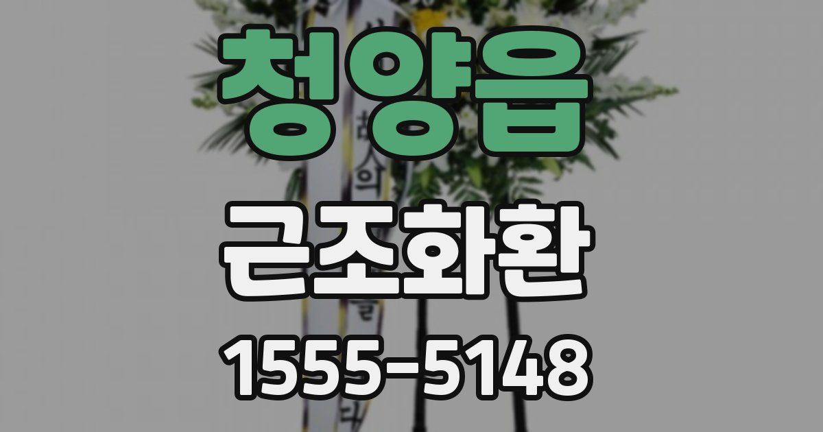 청양읍 근조화환