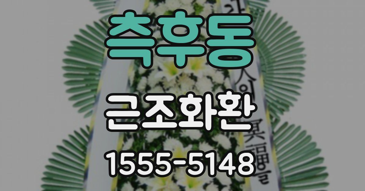 측후동 근조화환