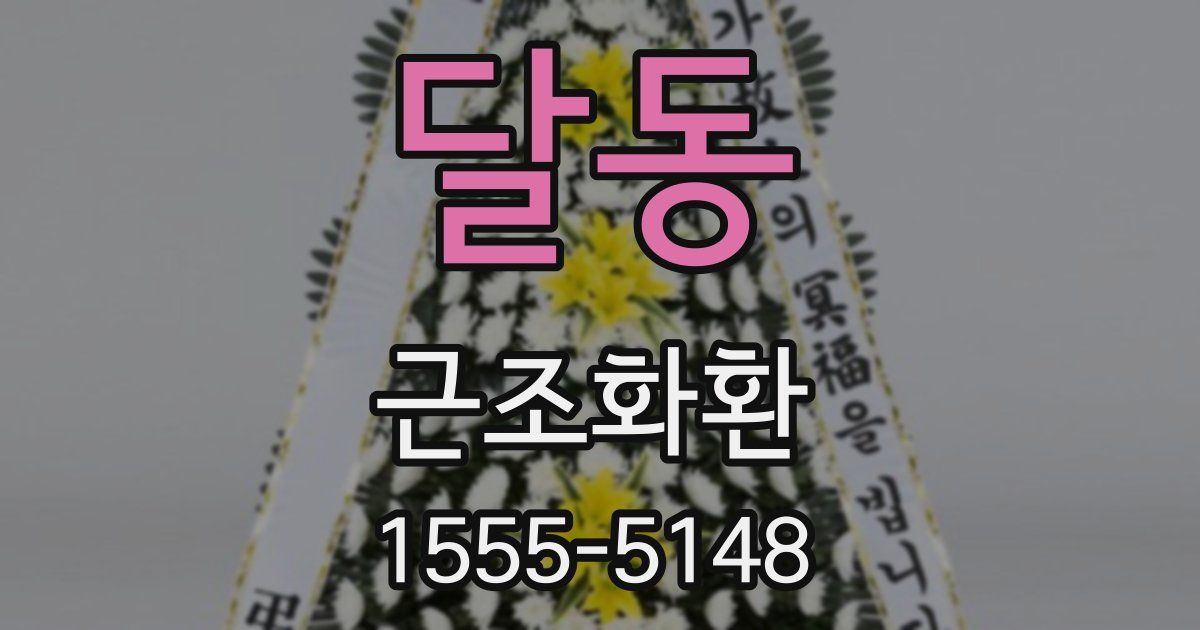 달동 근조화환